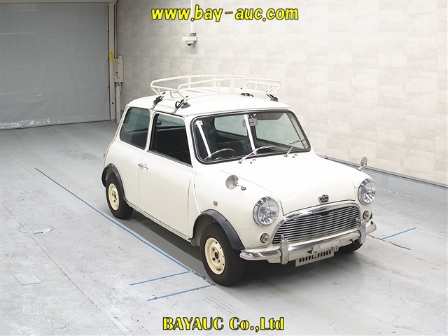 ROVER MINI