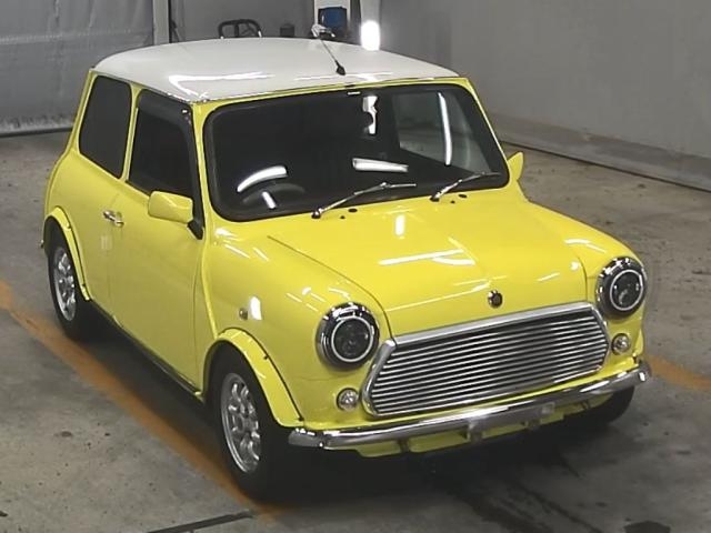 ROVER MINI
