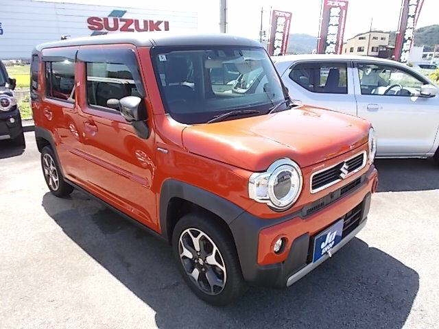SUZUKI HUSTLER