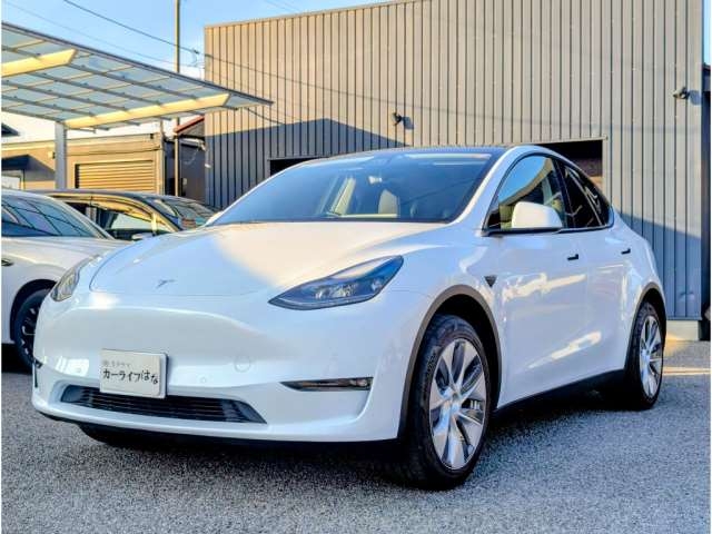 OTHER MODEL Y