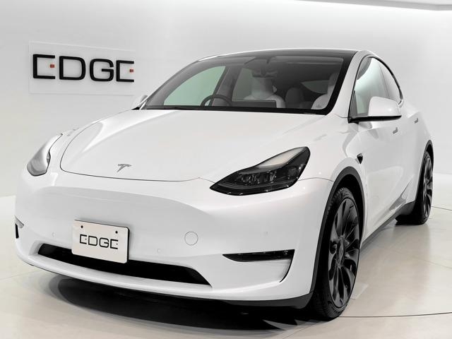 OTHER MODEL Y