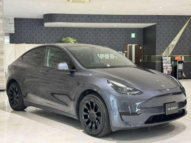 OTHER MODEL Y