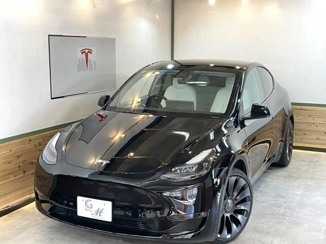 OTHER MODEL Y