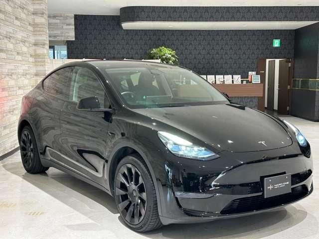 OTHER MODEL Y