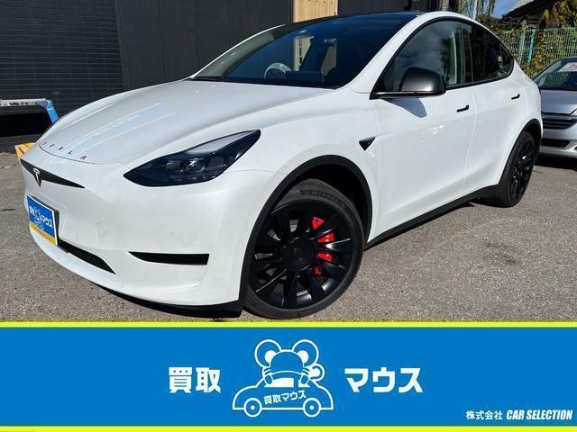 OTHER MODEL Y