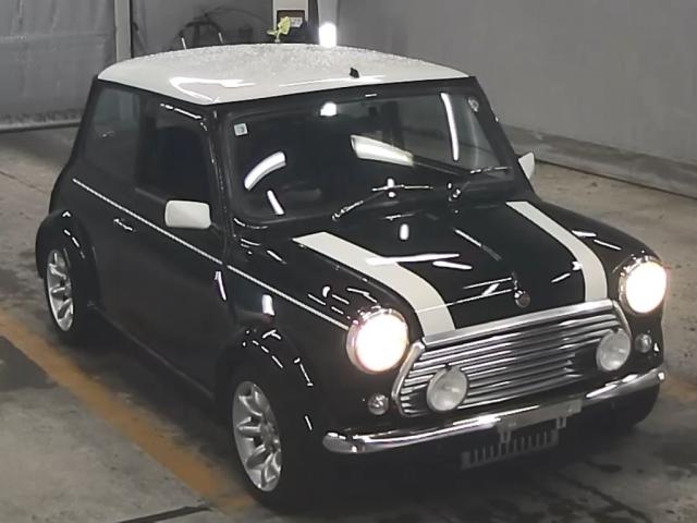 ROVER MINI