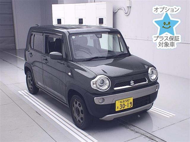 SUZUKI HUSTLER