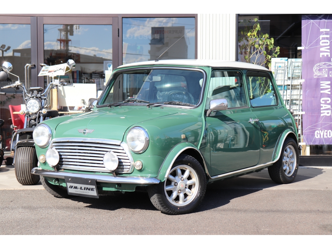 ROVER MINI